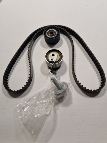 Timing belt kit - kit, ina